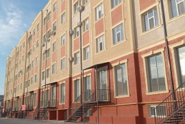 Patsha premium, Pre-school, Kindergarten