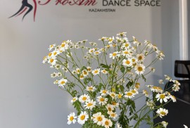 Dance Space, школа танцев, Dance, Ballet, 1-7 years old, 7-13 years old