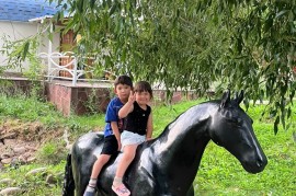 Balnur, центр детского развития, Pre-school, Skills, under 1 year, 1-7 years old, 7-13 years old