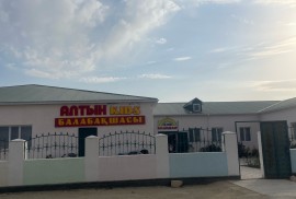 Алтын Kids, Pre-school, Kindergarten