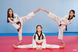 Arlan Taekwondo School, Combat, Taekwondo