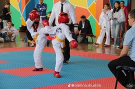 Arslan, спортивный клуб, Combat, Taekwondo