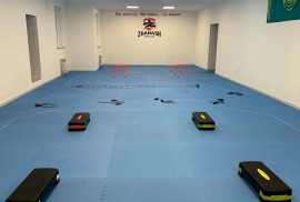Zhanash, спортивный клуб, Combat, Taekwondo