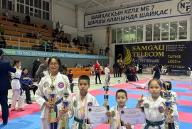 Адай, школа таэквондо, Combat, Taekwondo