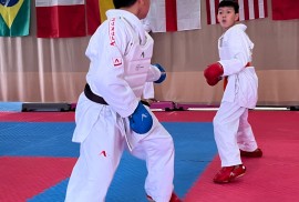 Ippon, спортивный комплекс, Combat, Taekwondo
