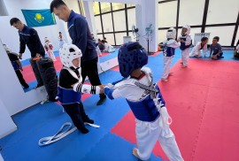 Sana, образовательный центр, Combat, Taekwondo