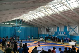 Центр подготовки олимпийского резерва Алматинской , Combat, Taekwondo