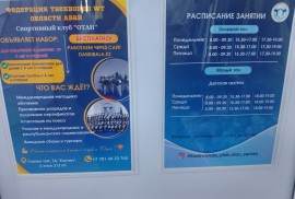Otan, спортивный клуб, Combat, Taekwondo