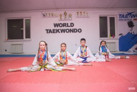 Taekwondo WT, спортивная секция, Combat, Taekwondo