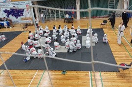 Typhoon, бойцовский клуб, Combat, Taekwondo