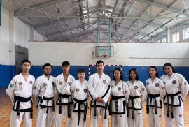 Таеквон-до GTF, Combat, Taekwondo