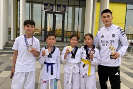 Sardar Taekwondo, Combat, Taekwondo