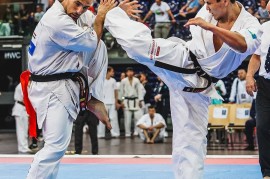 Ippon, спортивный клуб по карате, Combat, Karate