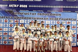 Karate Shinkyokushinkai, Combat, Karate