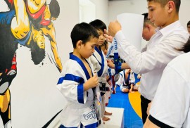 Champion, Combat, Karate