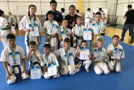 Барыс, спортивная секция шинкиокушинкай каратэ, Combat, Karate
