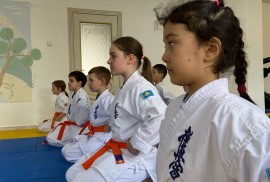 Ayu, школа каратэ, Combat, Karate