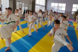 Федерация каратэ Шинкиокушинкай по Костанайской об, Combat, Karate