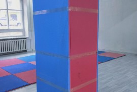 Чемпион, спортивный клуб, Combat, Karate