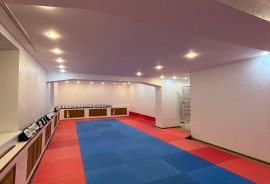 Федерация Каратэ-до Кёкушинкай, Combat, Karate