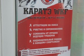 WKF, федерация каратэ, Combat, Karate
