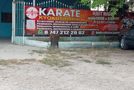 Karate kyokushinkai, секция карате, Combat, Karate