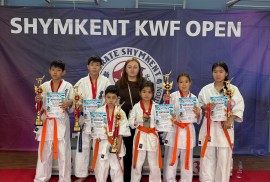 Kyokushin, секция каратэ, Combat, Karate