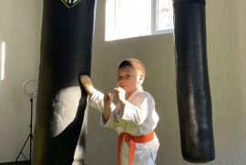 Biba 17 fight club, спортивный клуб, Combat, Karate