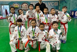 Seiken, школа каратэ, Combat, Karate
