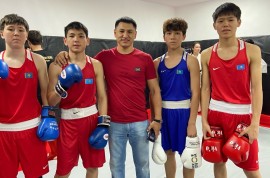 Alem fighters, спортивная академия, Combat, Box