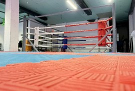 Alaman, академия спорта и искусства, Combat, Box