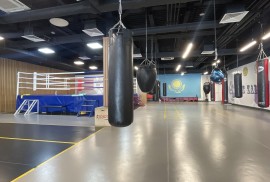 Athletic Boxing, Combat, Box