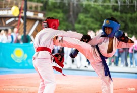 Asau top team, детско-юношеский спортивно-бойцовск, Combat, Box