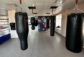 ali_boxing_kosshy, Combat, Box