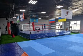 Punch Club, Combat, Box