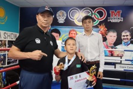 VA boxing, боксерский клуб, Combat, Box