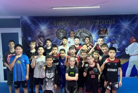 Спарта, бойцовский клуб, Combat, Box