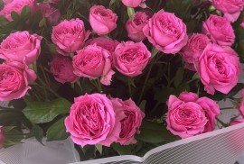 Blossom Pre-K, ​частный детский сад, Pre-school, Kindergarten