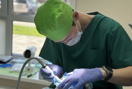 Dent Smile, частная детская стоматология
