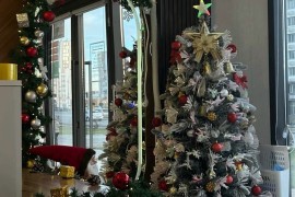 Qaldarbek dental clinic, стоматология