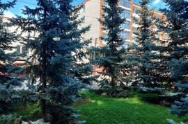 Евразия, медицинский центр