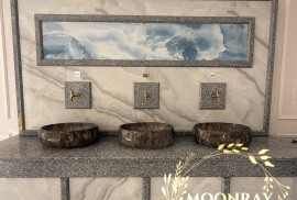 Moonray, компания