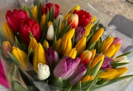 Inju Flowers, Event, Agency event, 1-7 years old, 7-13 years old, 13-18 years old
