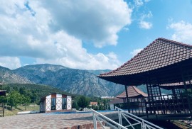Dream camp, детский лагерь, Сamp, Educational, 1-7 years old, 7-13 years old, 13-18 years old