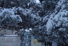 Талгарский высший медицинский колледж, Среднее профессиональное, 13-18 лет