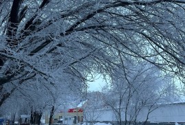 Атырауский гуманитарный колледж им. К. Дутбаевой, Среднее профессиональное, 13-18 лет
