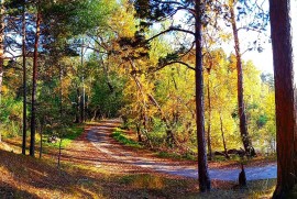 Высший колледж лесного хозяйства, экологии и туриз, Среднее профессиональное, 13-18 лет