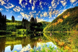 Колледж Зерек, Среднее профессиональное, 13-18 лет