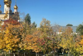 Костанайский колледж сферы обслуживания, Secondary professional, 13-18 years old