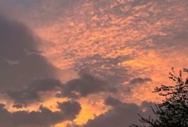 Жамбылский инновационный высший колледж, Среднее профессиональное, 13-18 лет